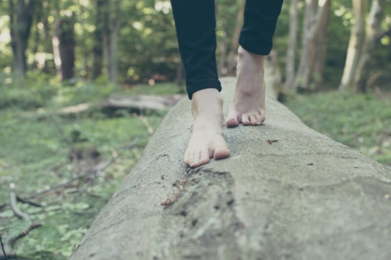 Feet Walking On Log