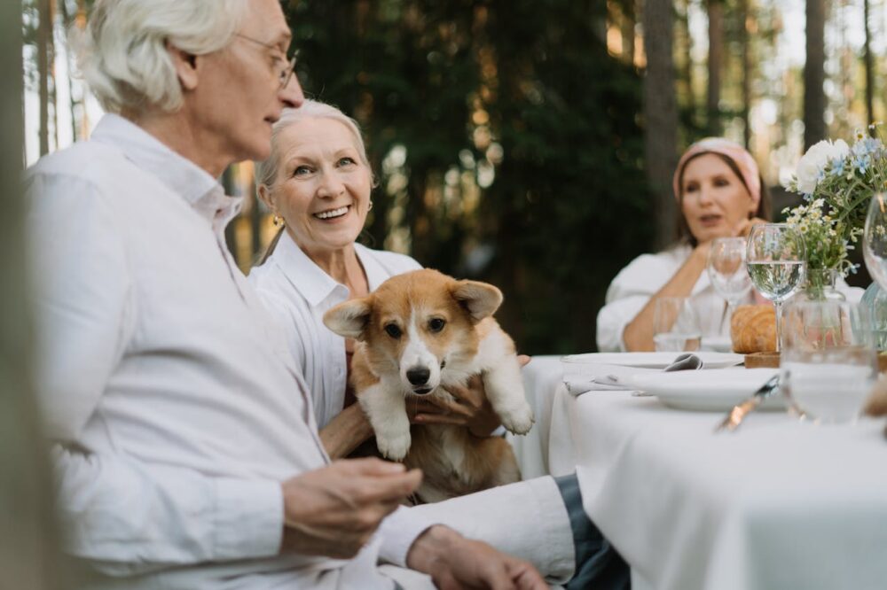 Best Dogs For Seniors