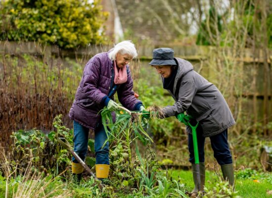 Elderly Recreational Activities Gardening