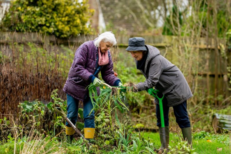 Elderly Recreational Activities Gardening